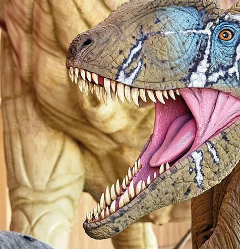 Tête de dinosaure du Musée de paléontologie